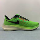 Tênis Nike Air zoom Pegasus
