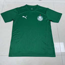 Camisa Palmeiras Treino 25/26 - Puma Torcedor Masculina - Verde
