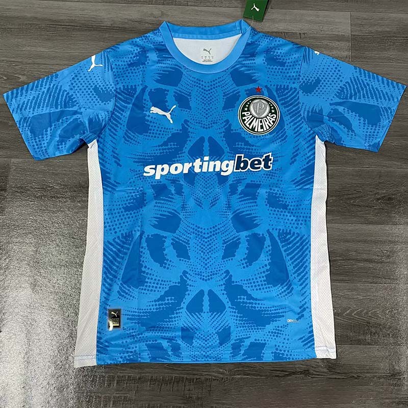 Camisa Palmeiras Goleiro 25/26 - Puma Torcedor Masculina