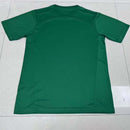 Camisa Palmeiras Treino 25/26 - Puma Torcedor Masculina - Verde